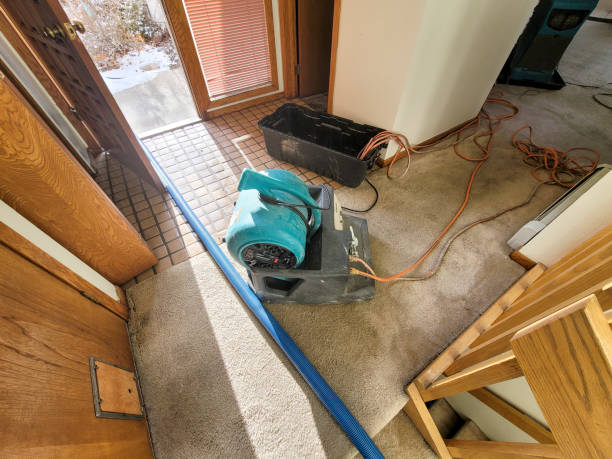 Best Water damage restoration near me  in Hawarden, IA