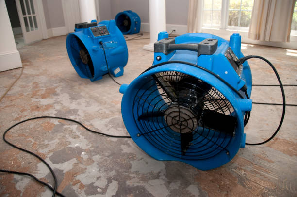 Best Flooded house restoration  in Hawarden, IA