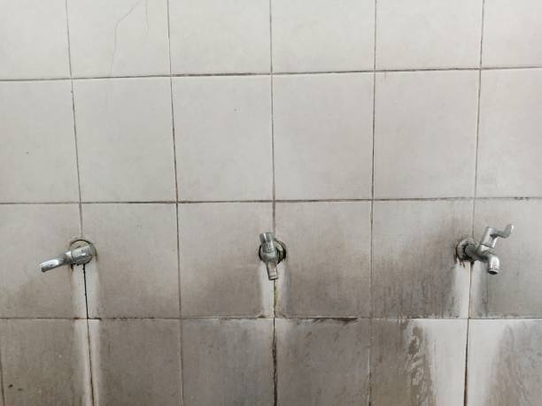 Best Mold removal after water damage  in Hawarden, IA