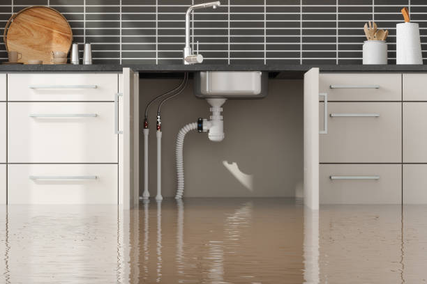 Best 24/7 water damage repair  in Hawarden, IA