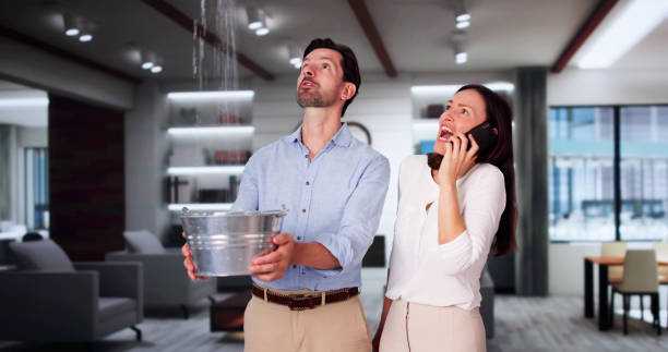 Best Ceiling water damage repair  in Hawarden, IA