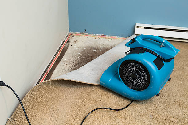 Best 24-hour water damage restoration  in Hawarden, IA